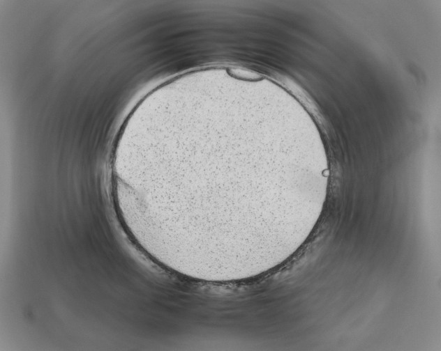 X0000112510955200909280953