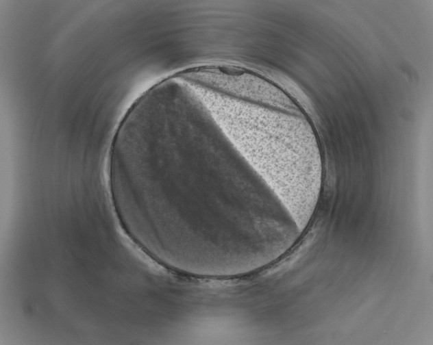 X0000112510958200909280953