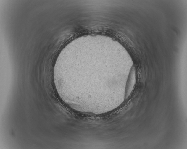 X0000112510961200909280952