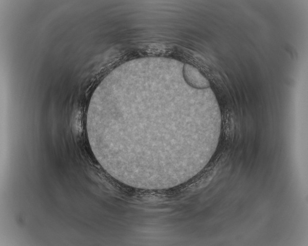 X0000112510962200909280952