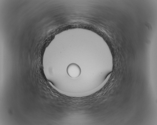 X0000112510965200909280952