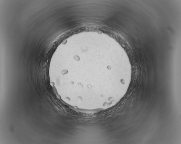 X0000112510968200909280952