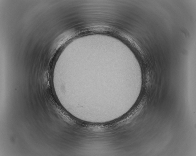 X0000112510970200909280952