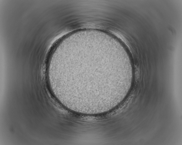 X0000112510971200909280952