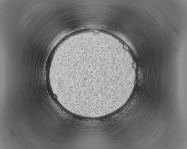 X0000112510972200909280952