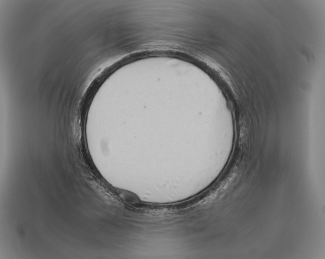 X0000112510973200909280952