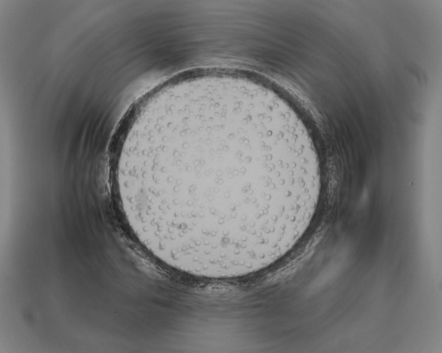 X0000112510974200909280952