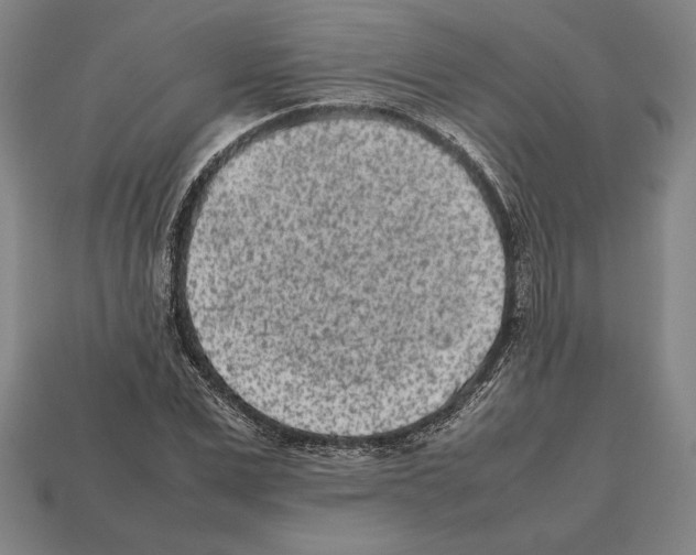 X0000112510975200909280952