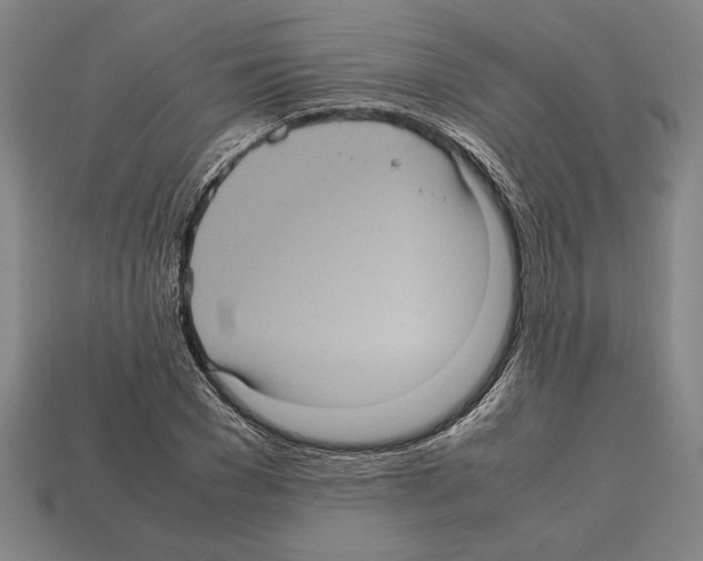 X0000112510977200909280952