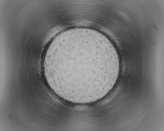 X0000112510978200909280952