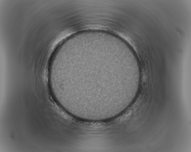 X0000112510979200909280952