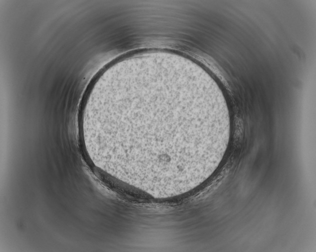 X0000112510980200909280952