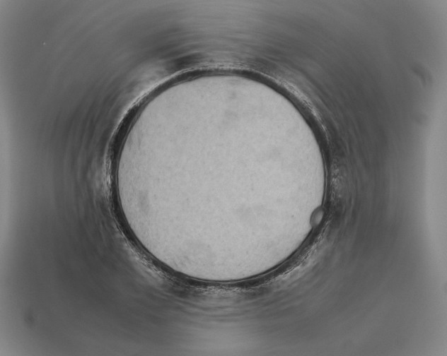 X0000112510981200909280952