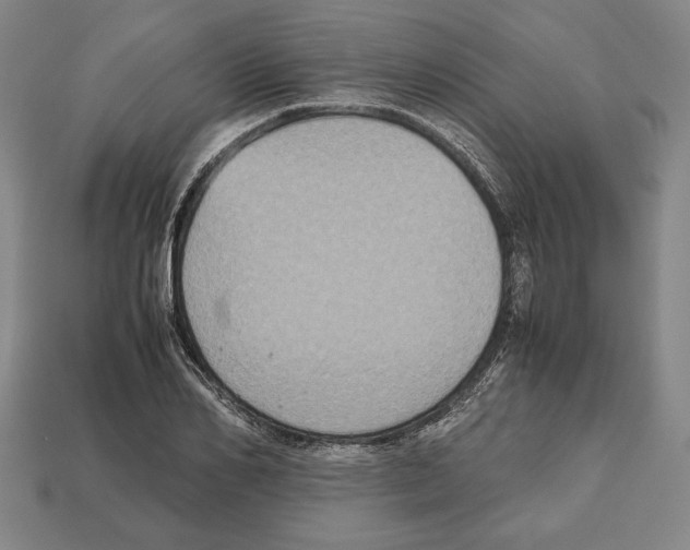 X0000112510982200909280952