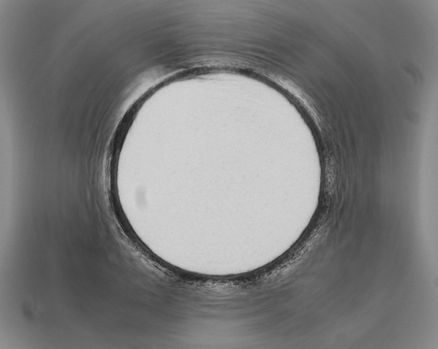 X0000112510983200909280952