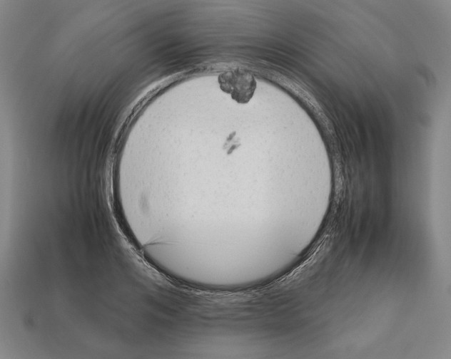 X0000112510984200909280952