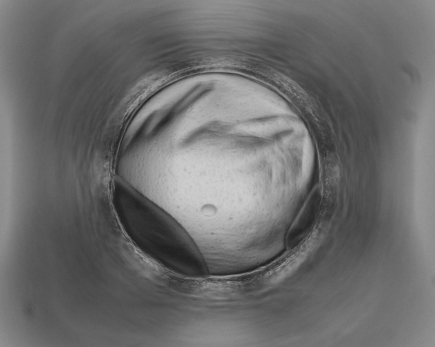 X0000112510985200909280952