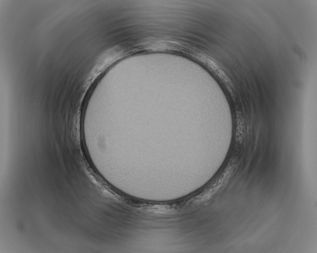 X0000112510986200909280952