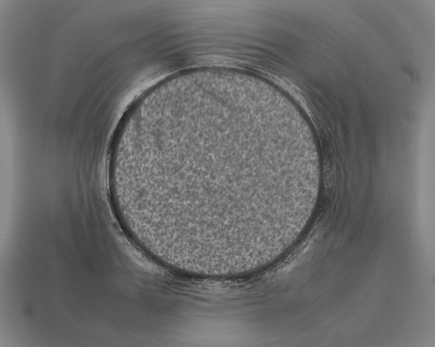 X0000112510987200909280952