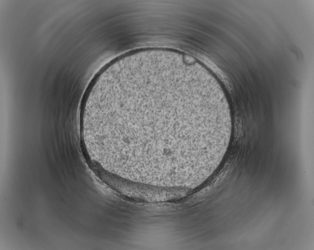 X0000112510988200909280952