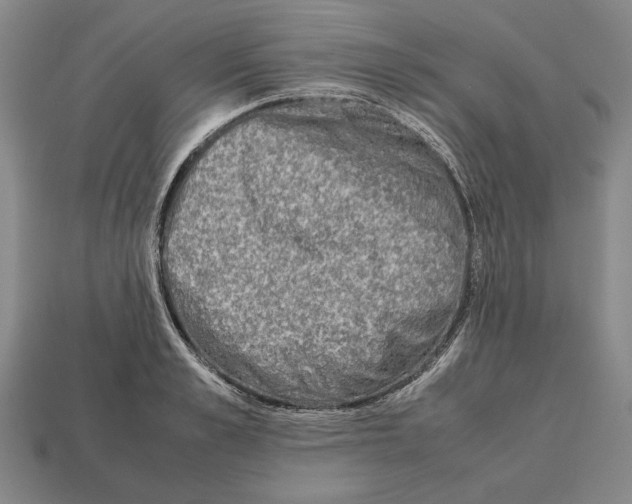 X0000112510989200909280952