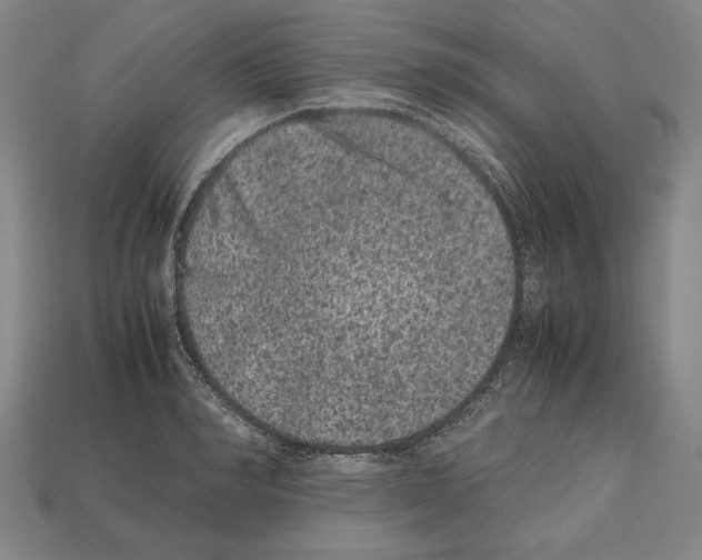 X0000112510990200909280952