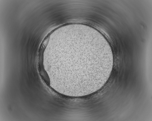 X0000112510992200909280952