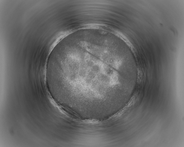 X0000112510994200909280952