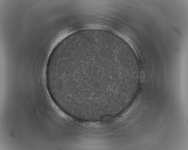 X0000112510995200909280952