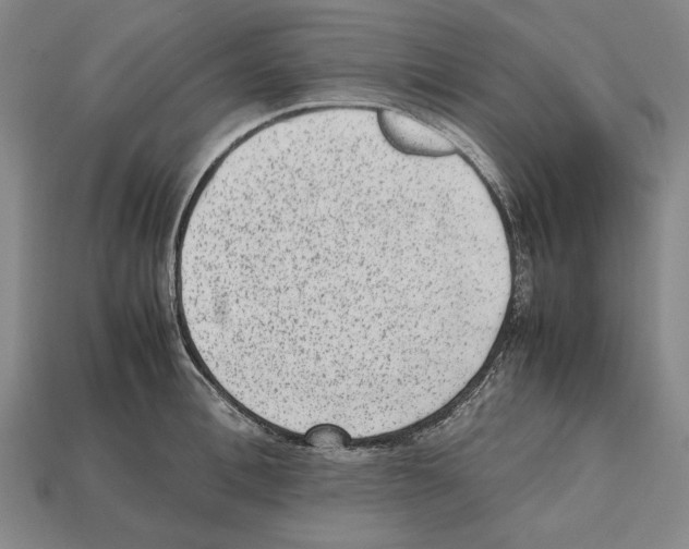 X0000112510996200909280952