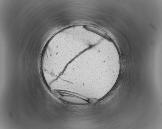 X0000112510997200909280952