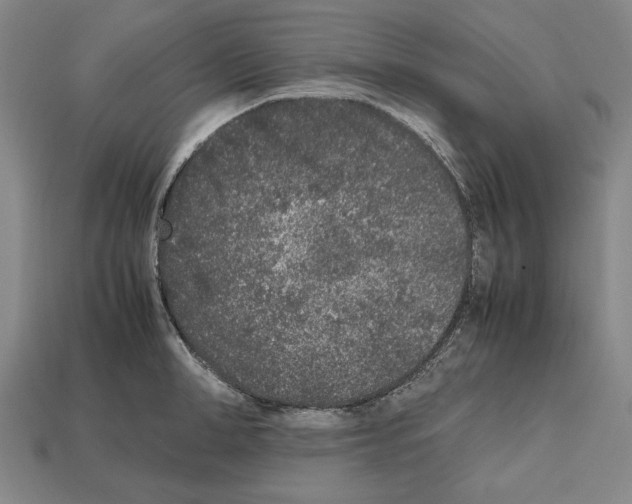 X0000112510998200909280951