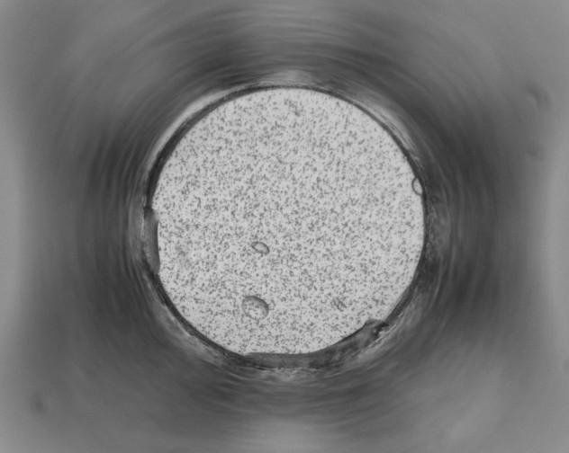 X0000112511000200909280951