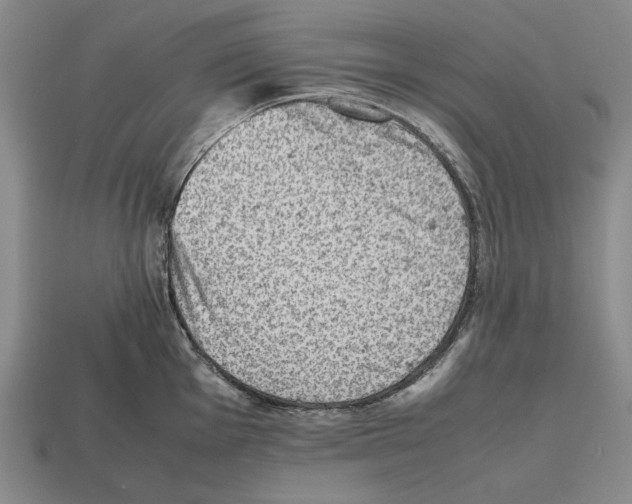 X0000112511001200909280951