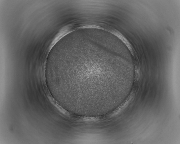 X0000112511002200909280951