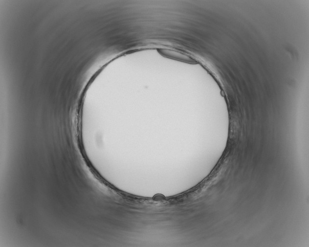 X0000112511003200909280951