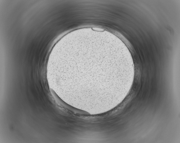 X0000112511004200909280951