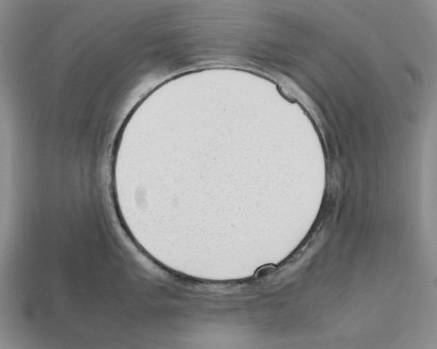 X0000112511005200909280951