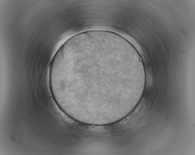 X0000112511006200909280951