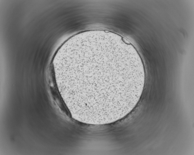 X0000112511008200909280951