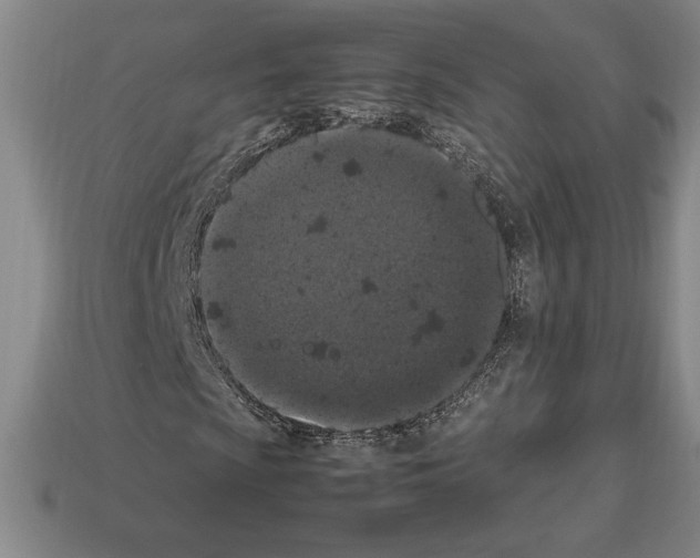 X0000112511009200909280951