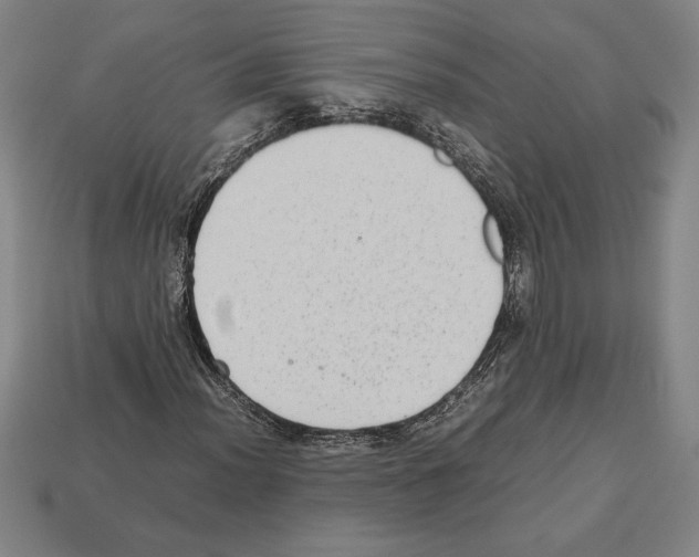 X0000112511012200909280951