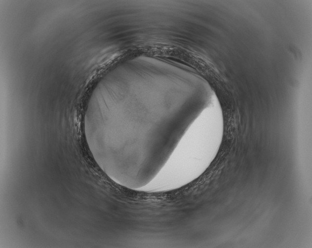 X0000112511013200909280951