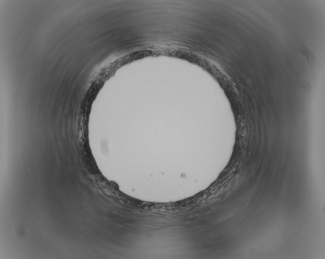 X0000112511016200909280951