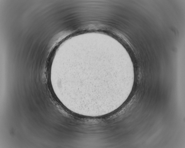 X0000112511018200909280951