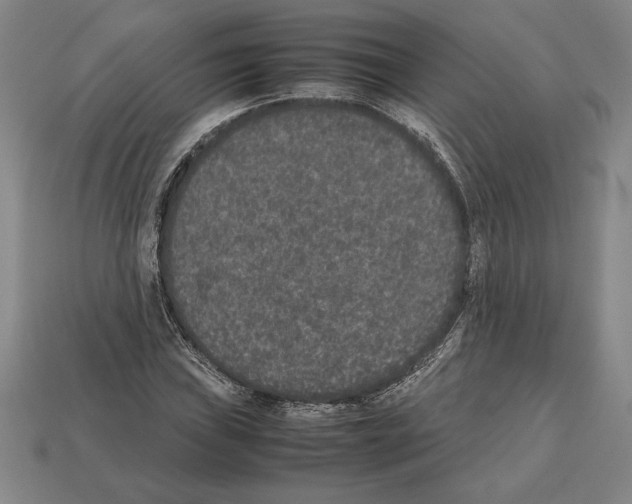 X0000112511019200909280951