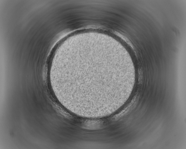 X0000112511021200909280951