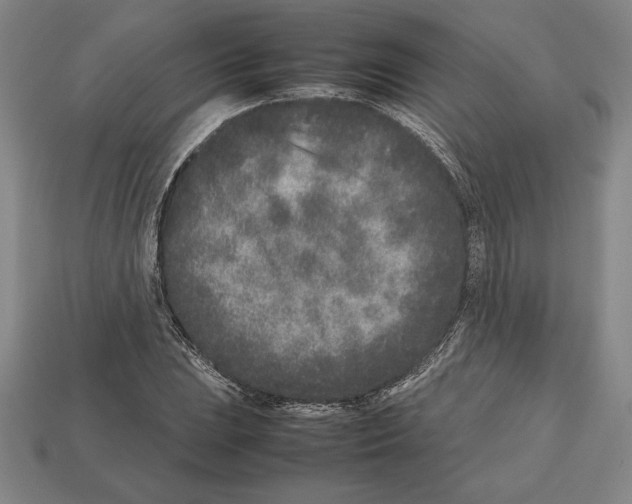 X0000112511023200909280951