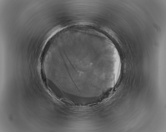 X0000112511024200909280951