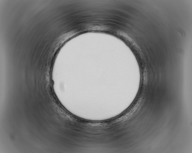 X0000112511025200909280951